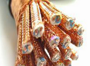 ε£DCSϵͳõ£-Shielding Cable for Computer Application(Cable for DCS Syst